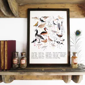 Aestes Wetland Birds Art Print