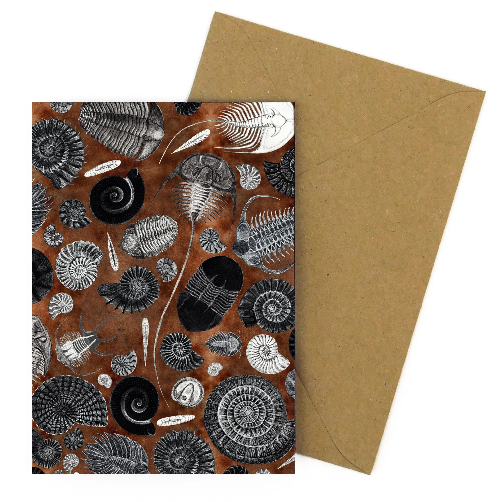 Ammonoidea Fossil Greetings Card