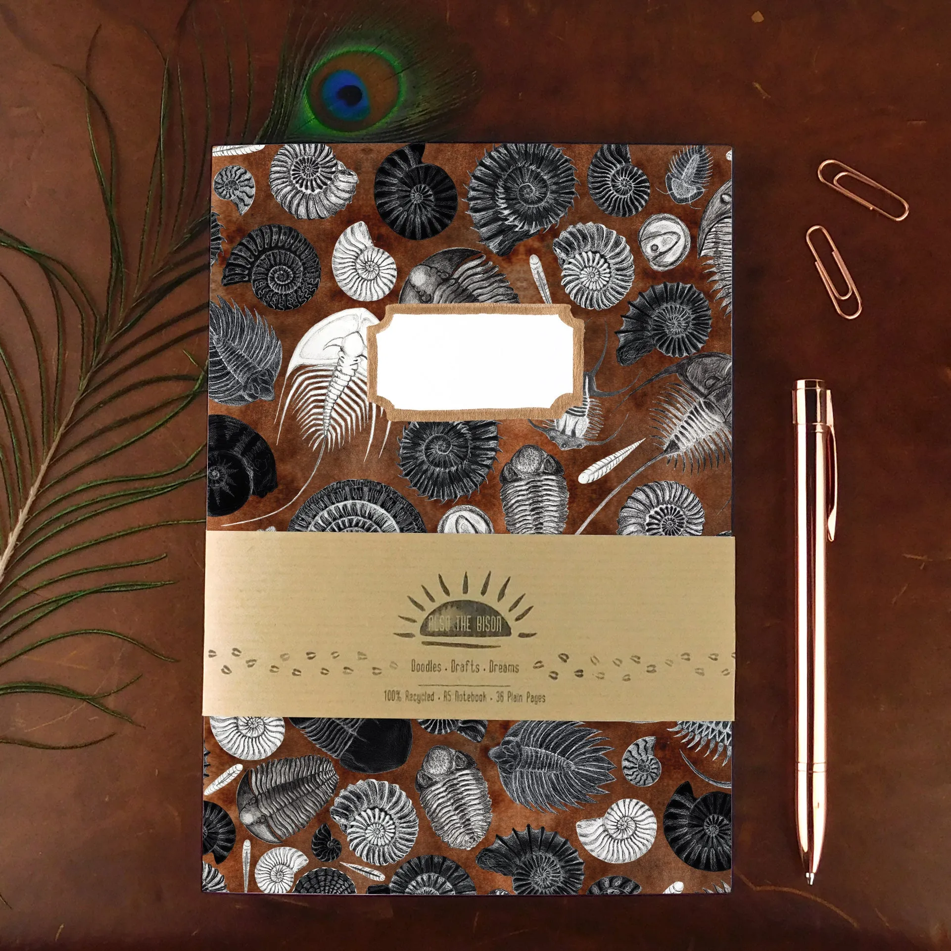 Ammonoidea Fossil Print Journal and Notebook Set