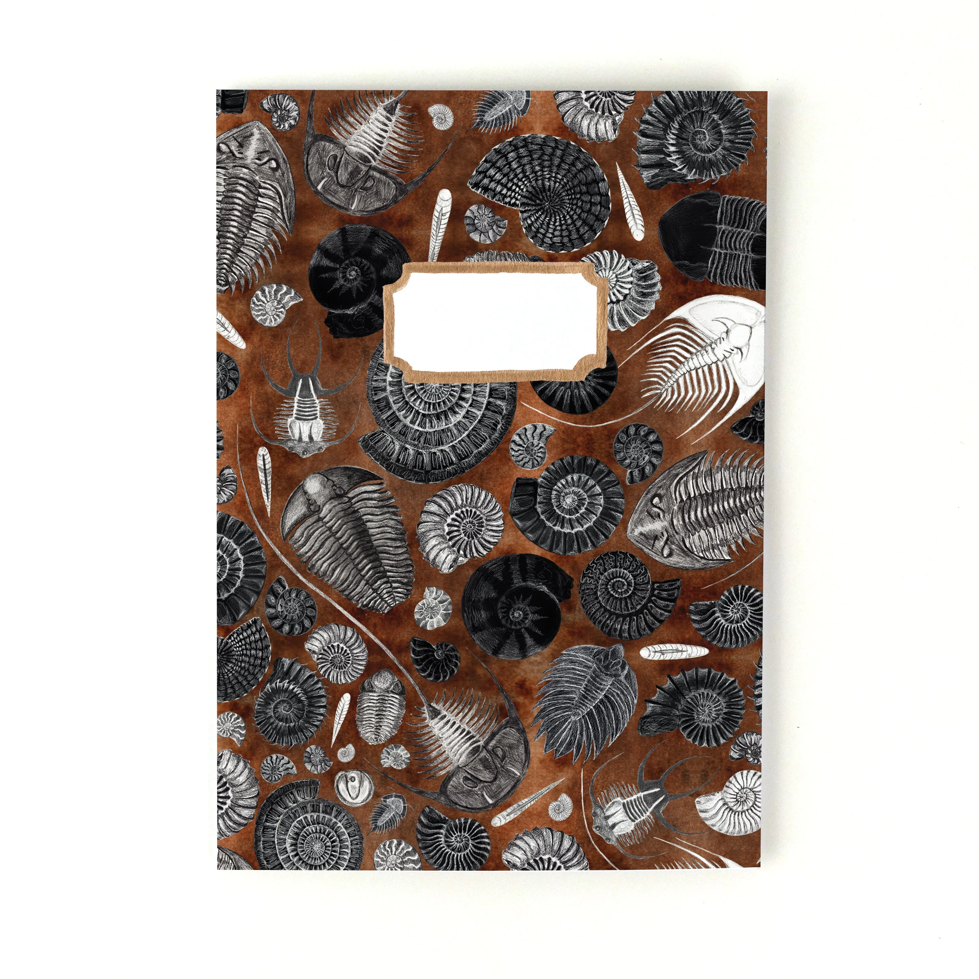 Ammonoidea Fossil Print Lined Journal