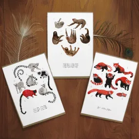 Arboreal Mammals Set of 3 Art Prints