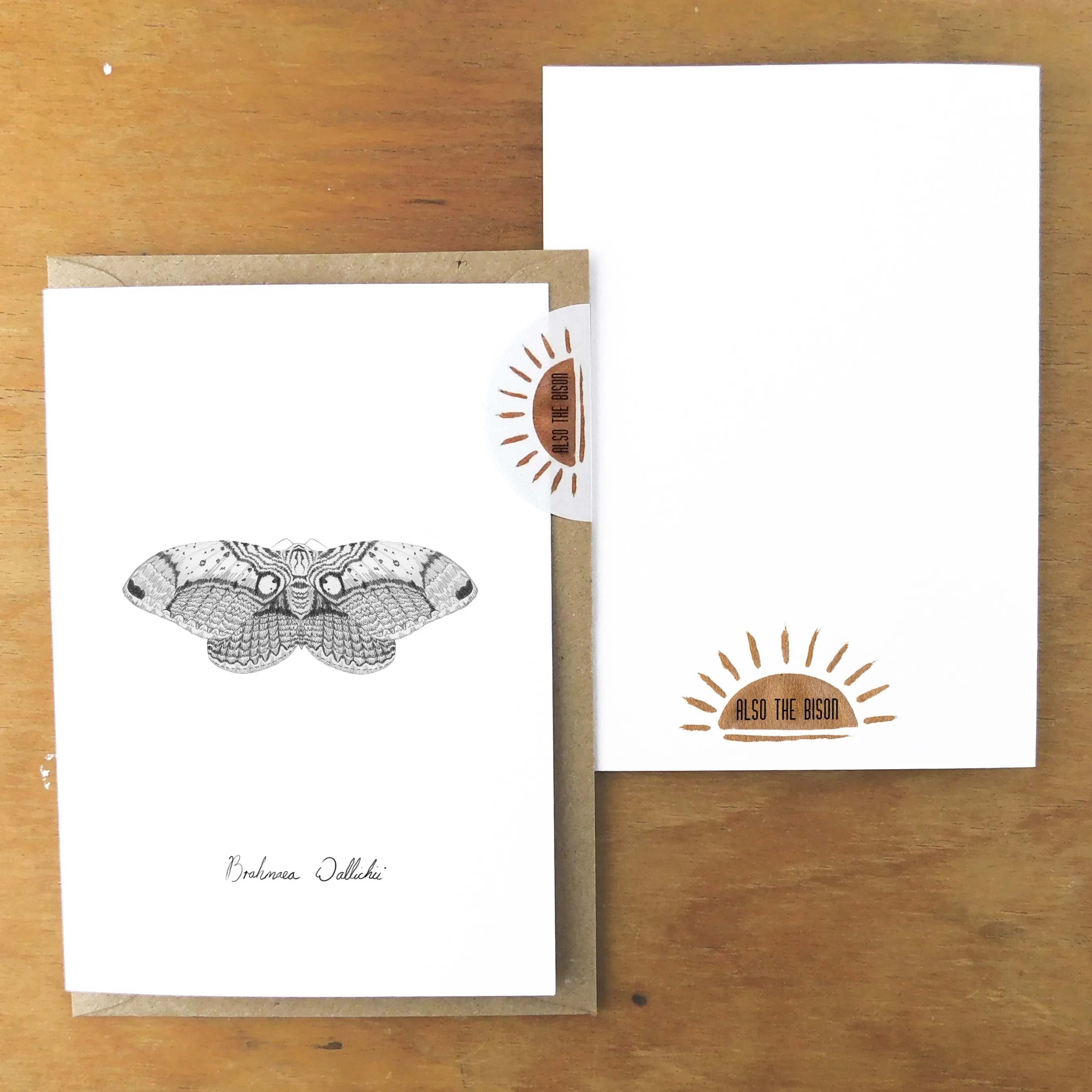 Archaeolepis Owl Moth Greetings Card