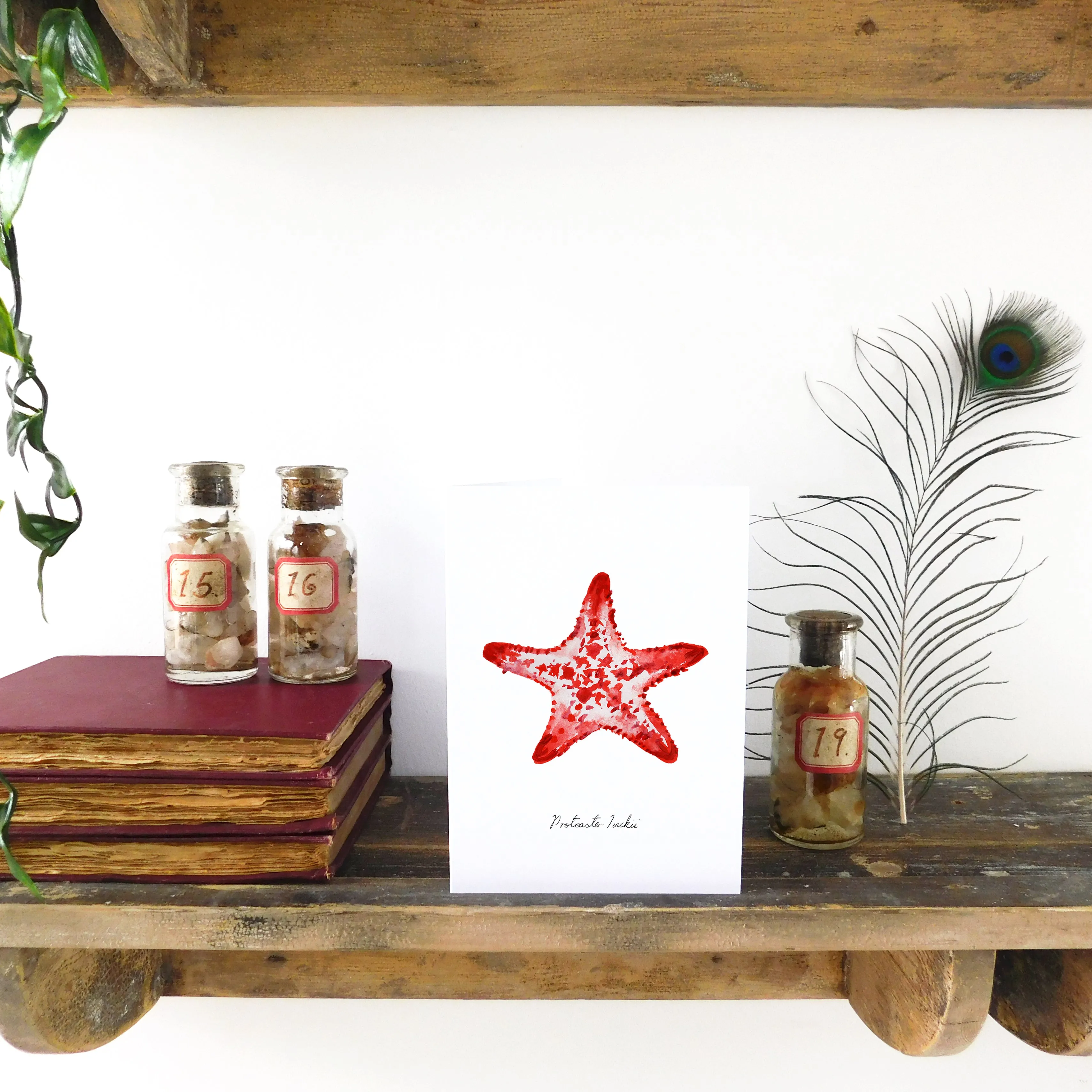 Asterozoa Crown of Thorns Starfish Greetings Card