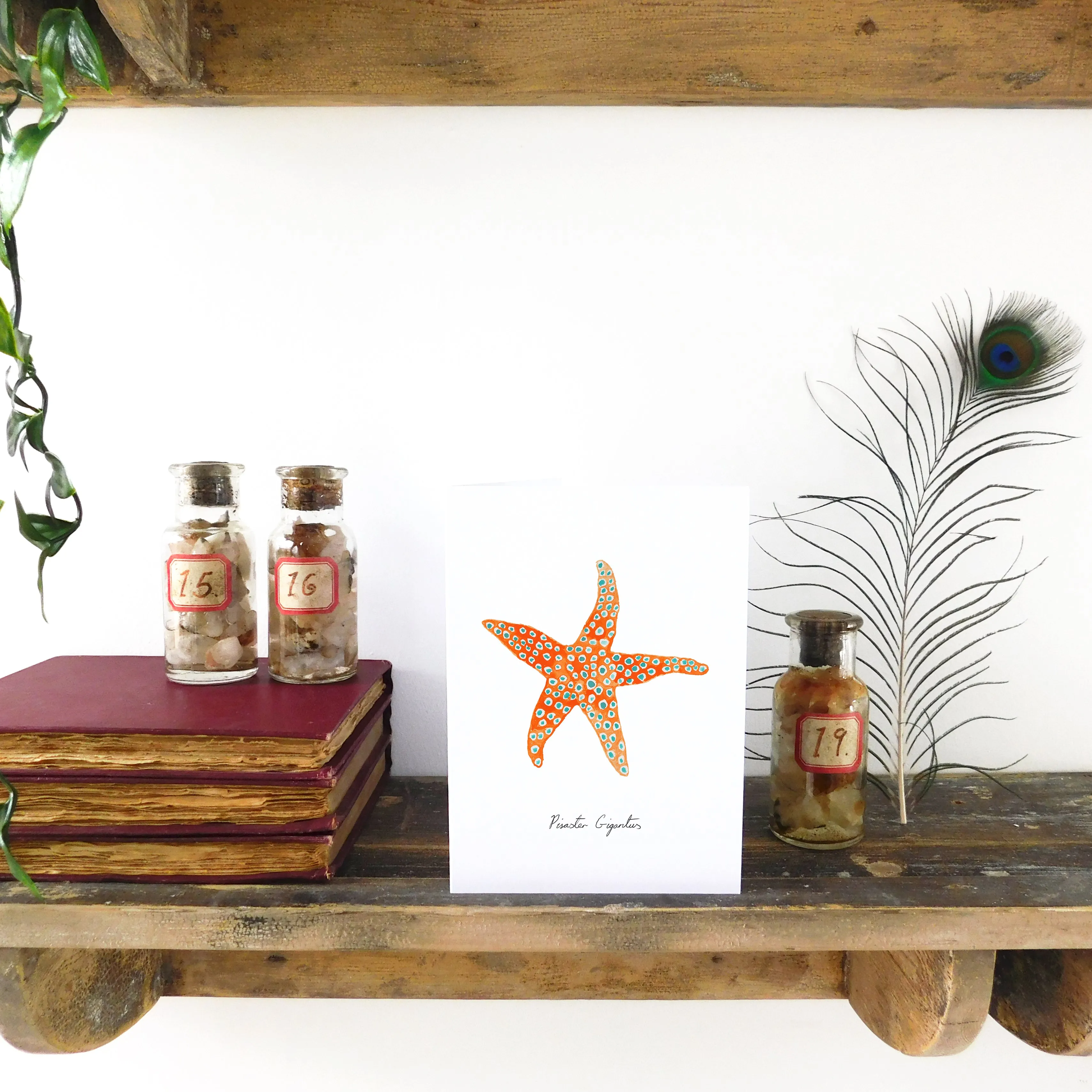 Asterozoa Giant Starfish Greetings Card