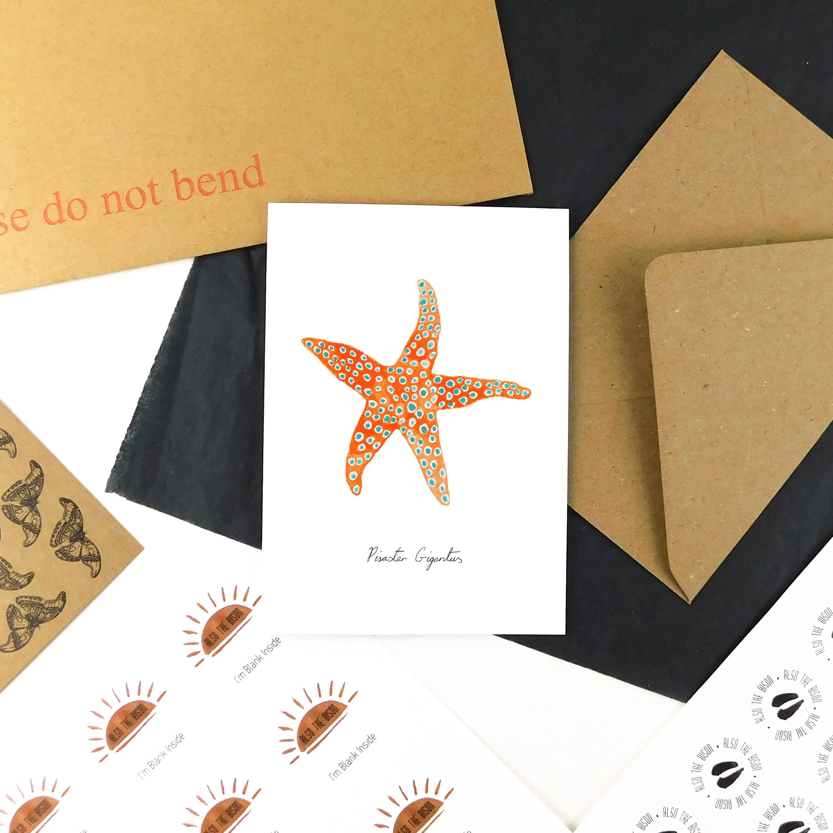 Asterozoa Giant Starfish Greetings Card