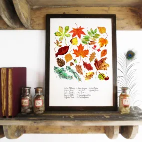 Autumna Fallen Leaves Art Print