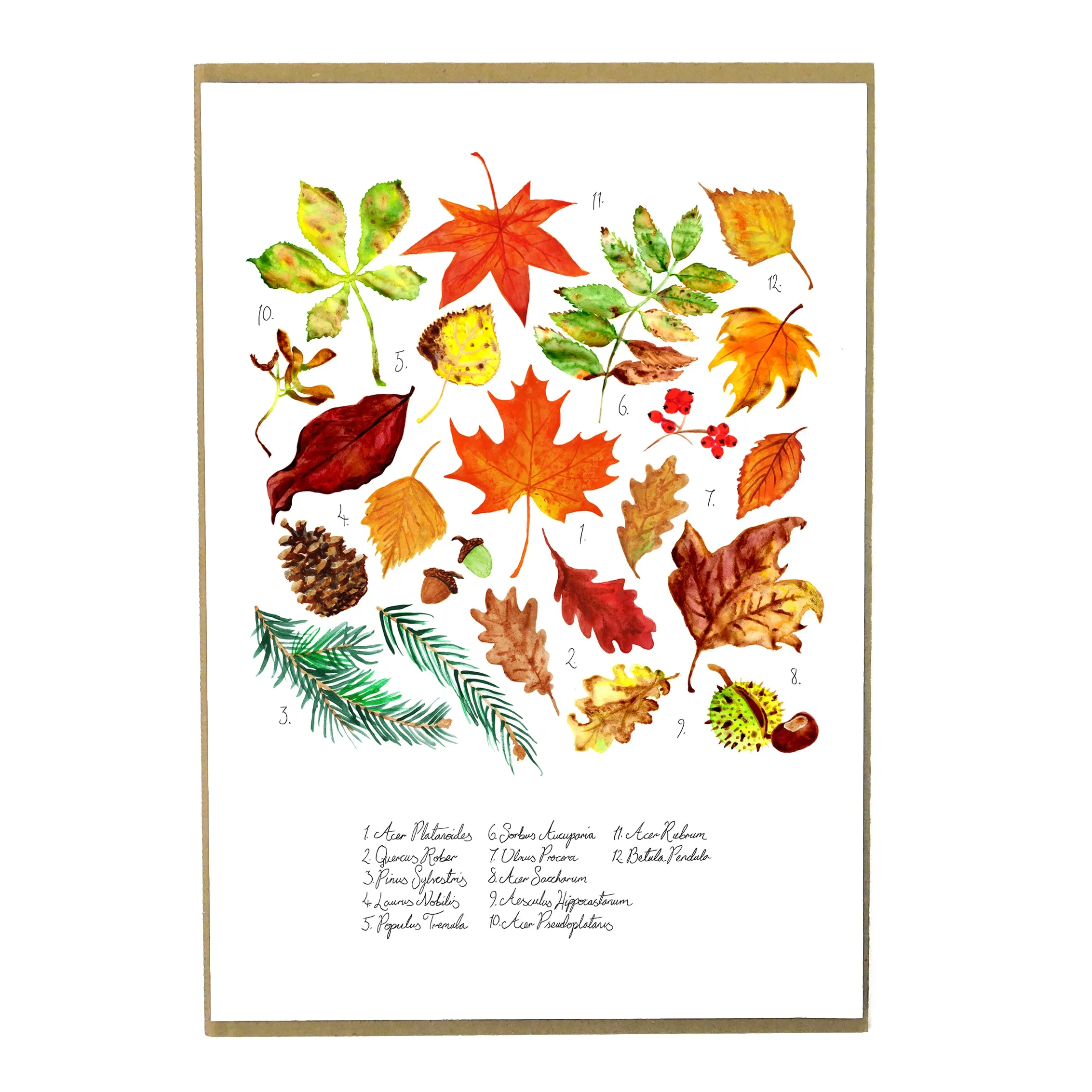 Autumna Fallen Leaves Art Print