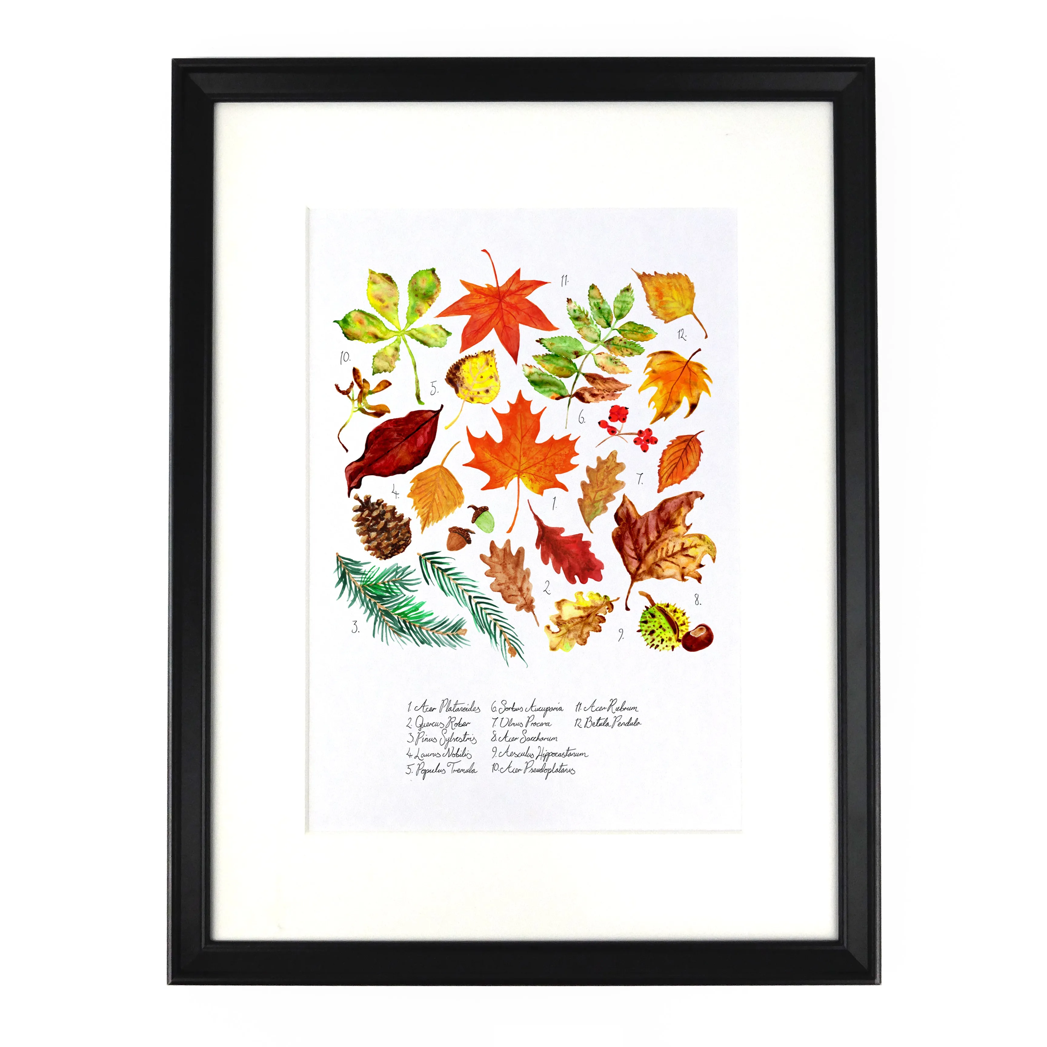 Autumna Fallen Leaves Art Print