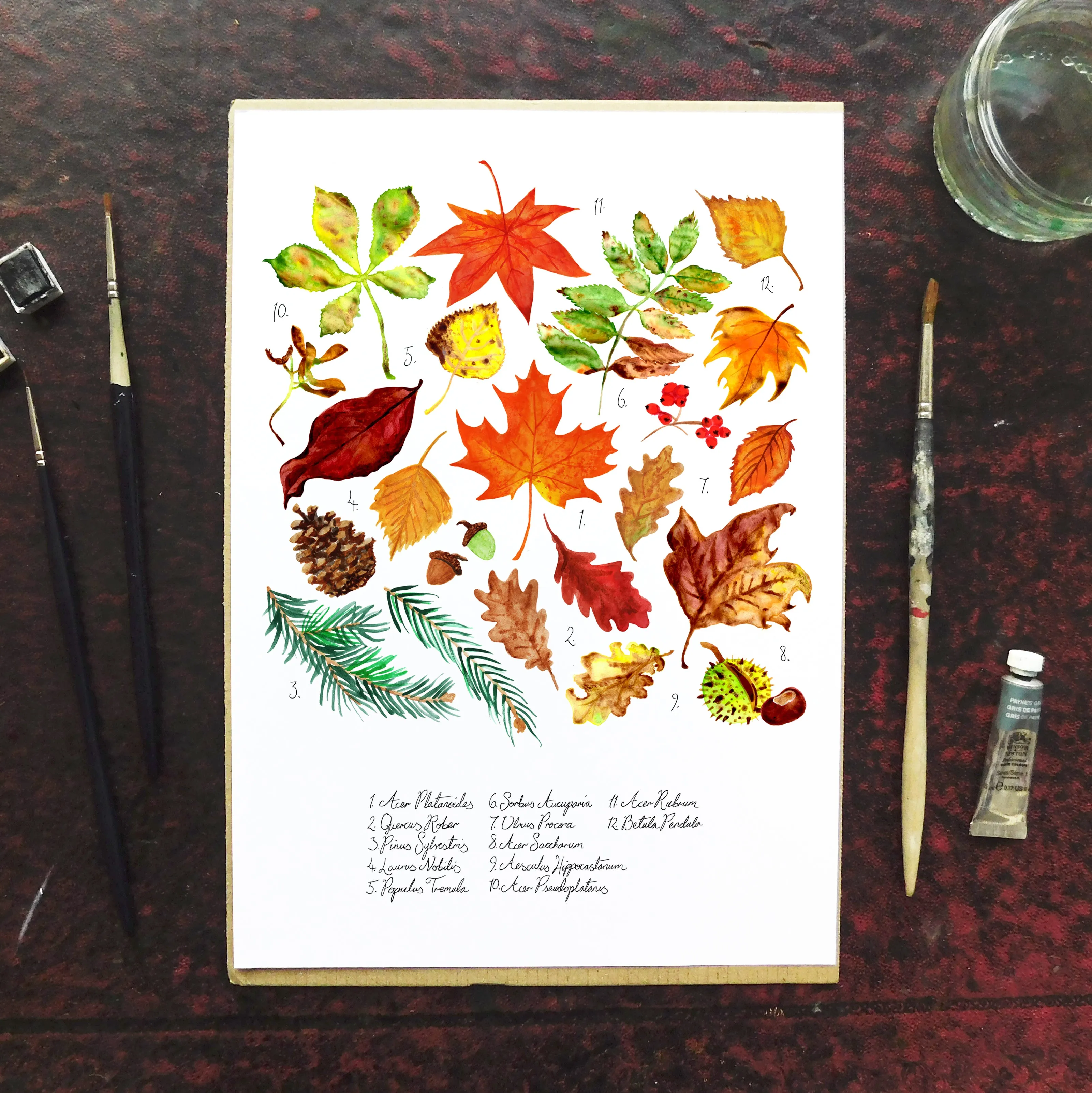 Autumna Fallen Leaves Art Print