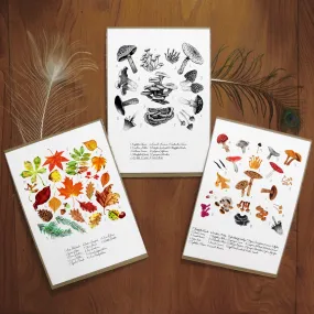 Autumnal Set of 3 Art Prints