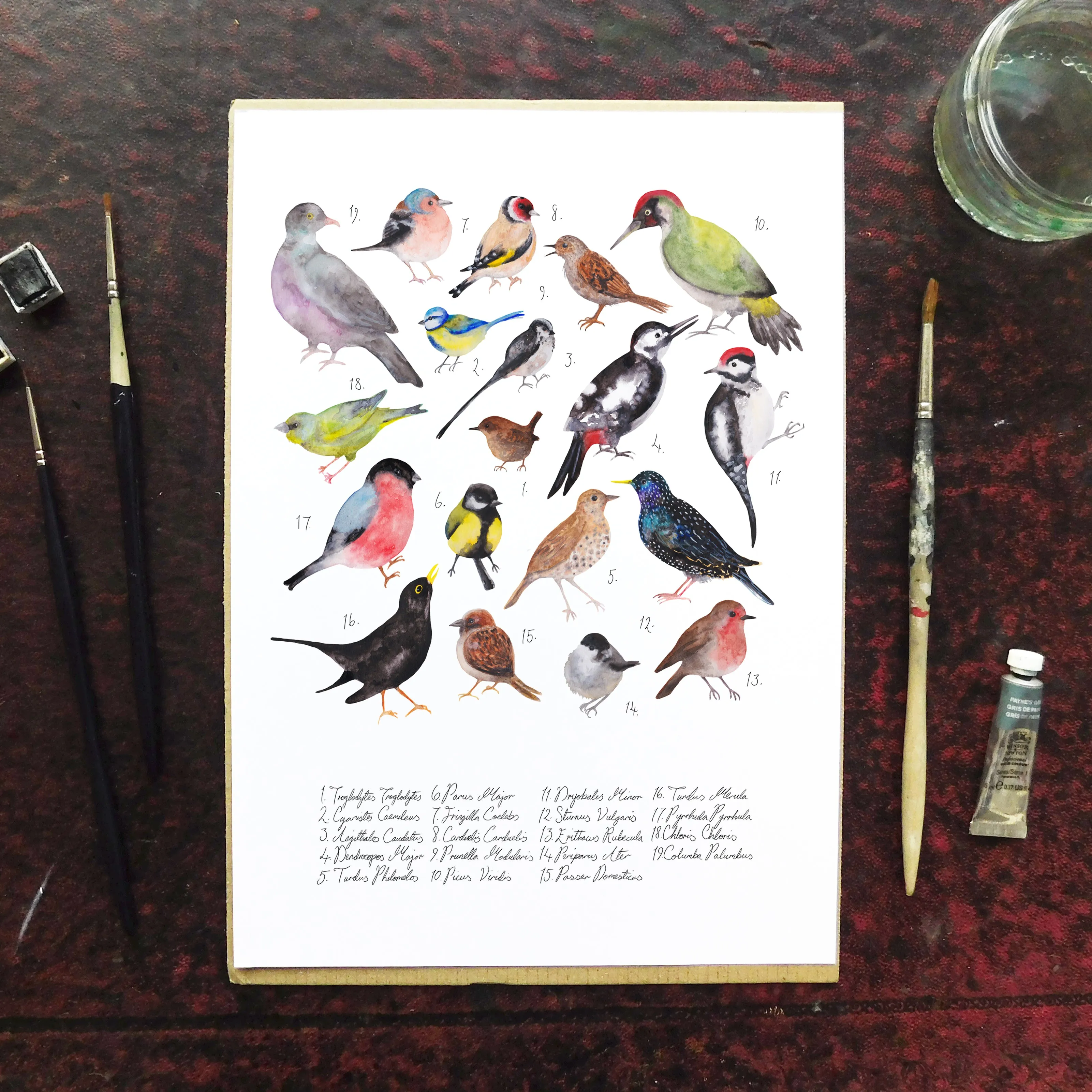 Aves British Garden Birds Art Print