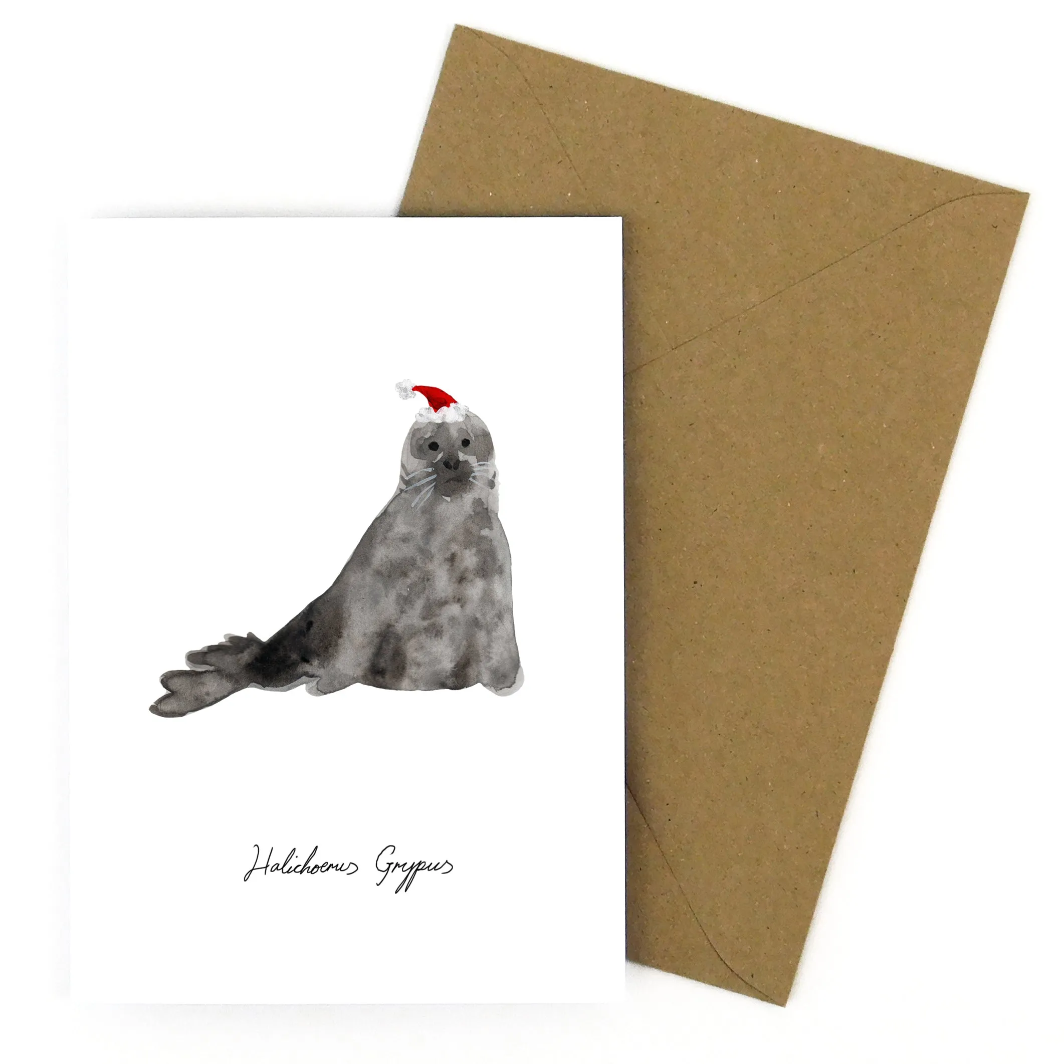 Bob Grey Seal Christmas Card