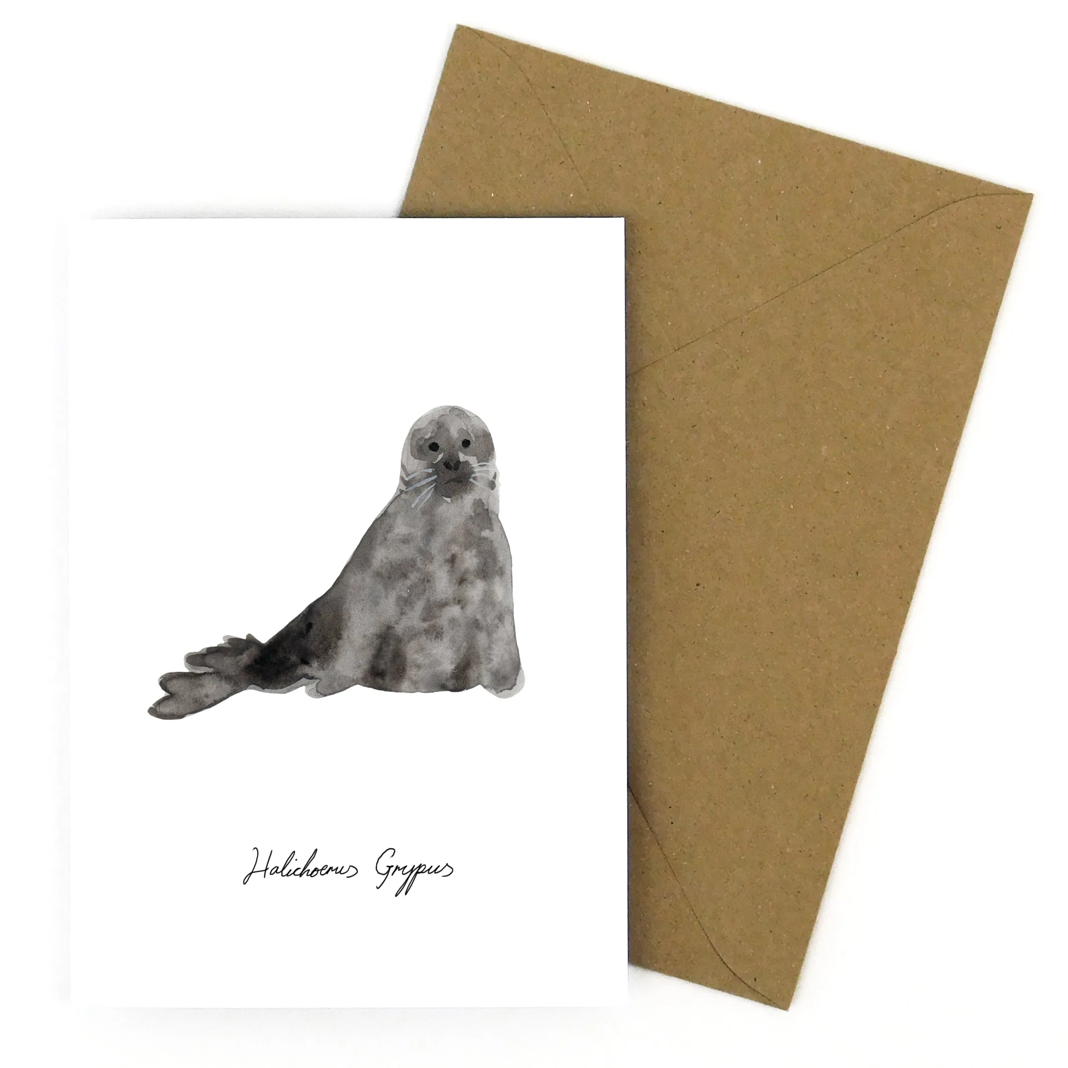 Bob Grey Seal Greetings Card