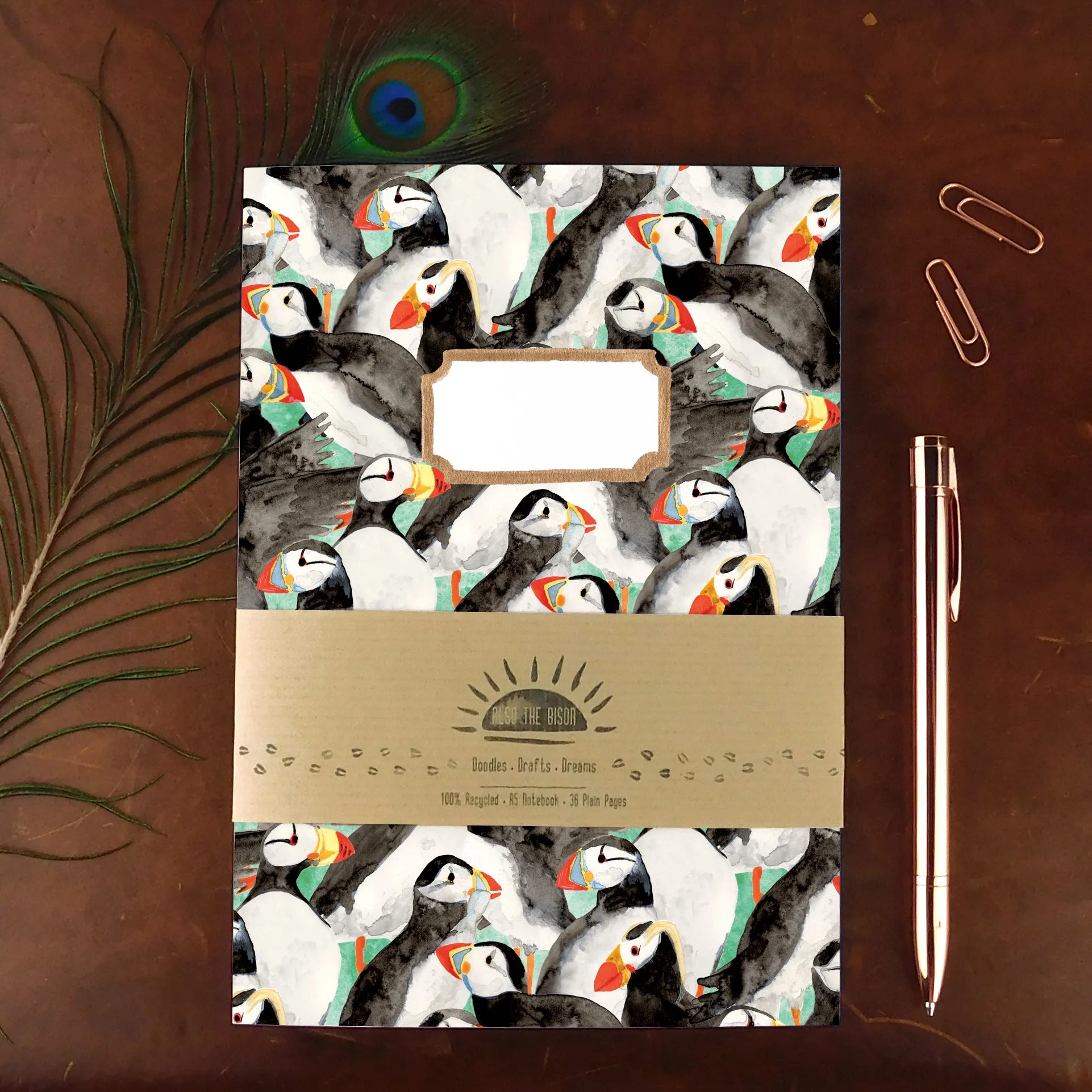 British Birds Notebook Pack