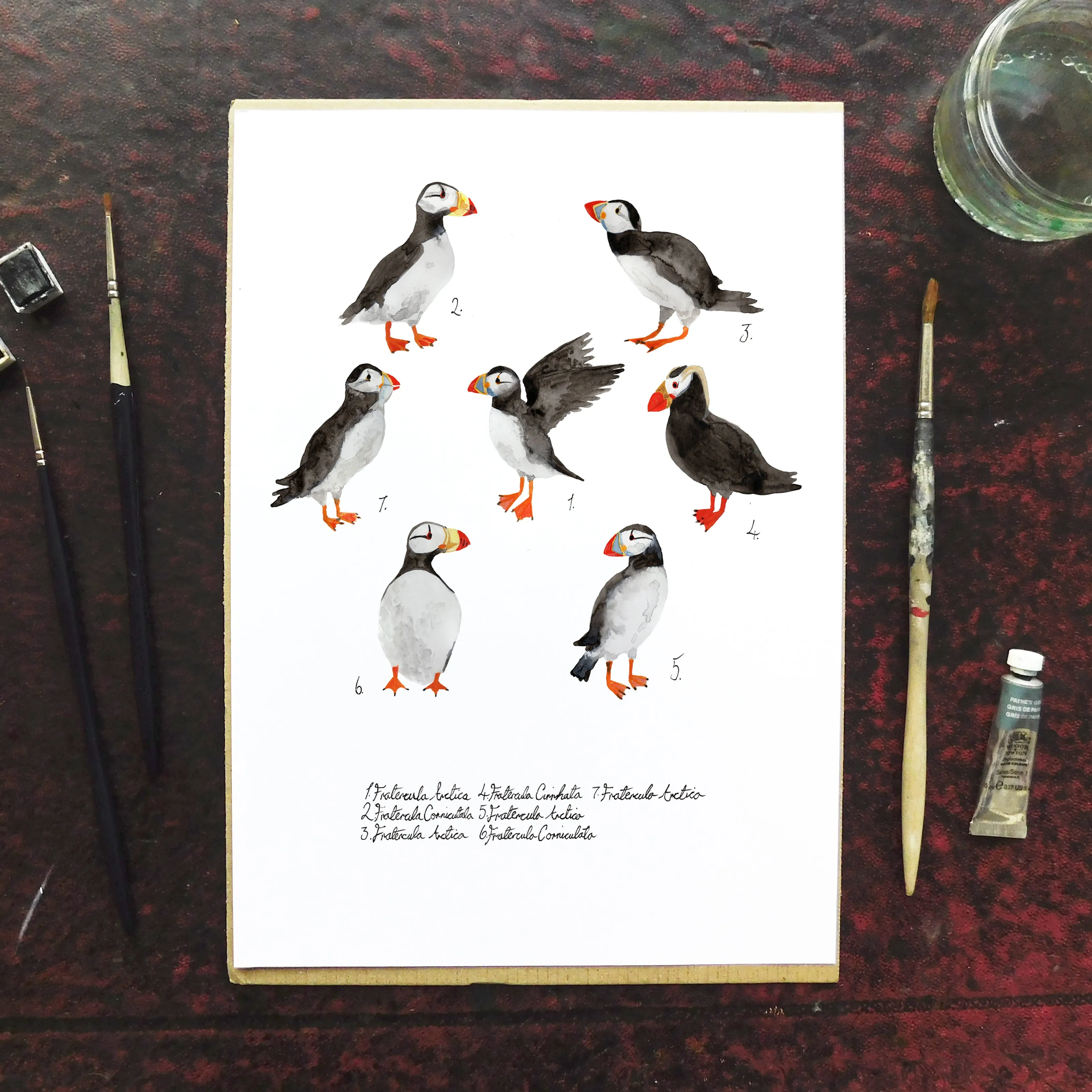 British Birds Set of 3 Art Prints