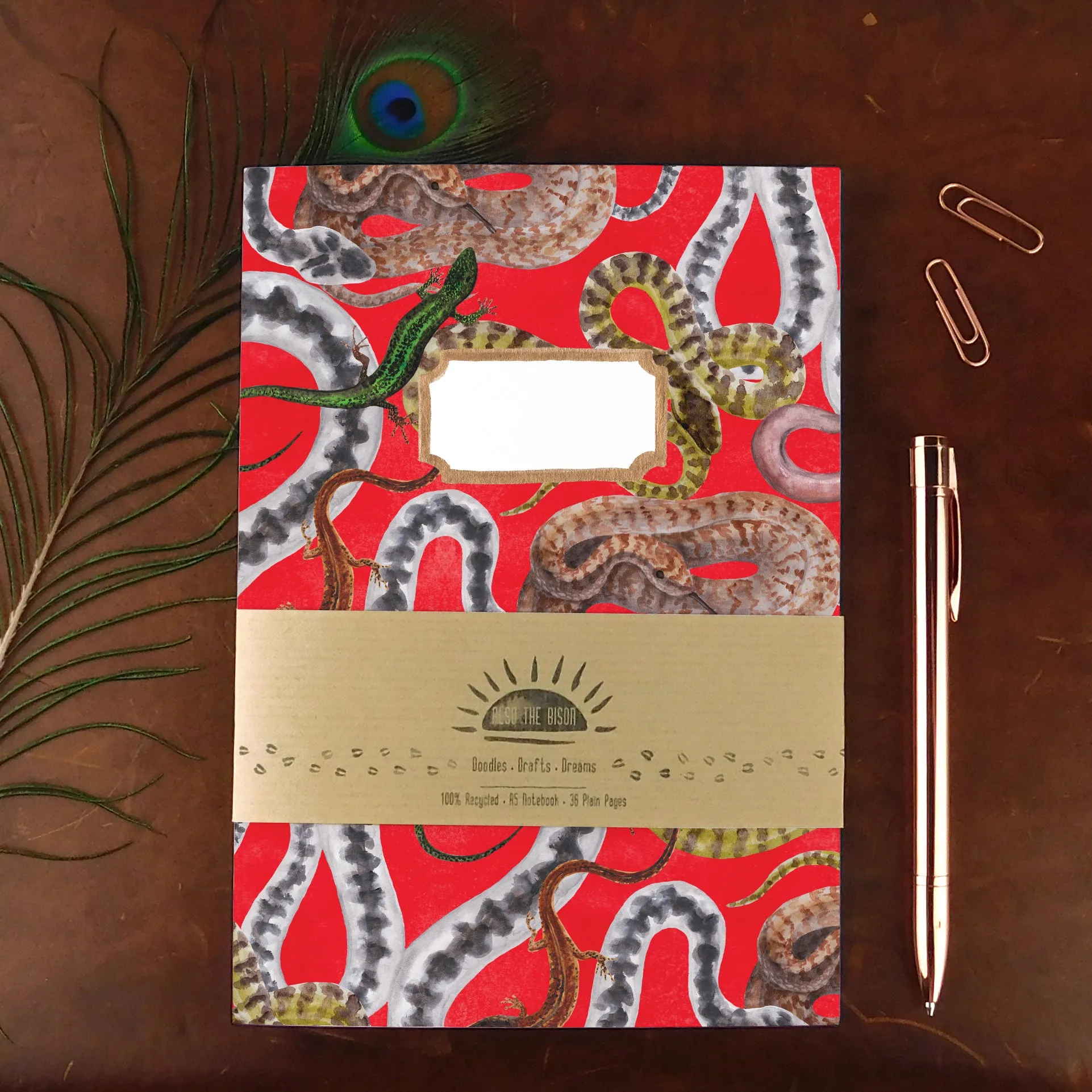 British Vertebrates Notebook Pack