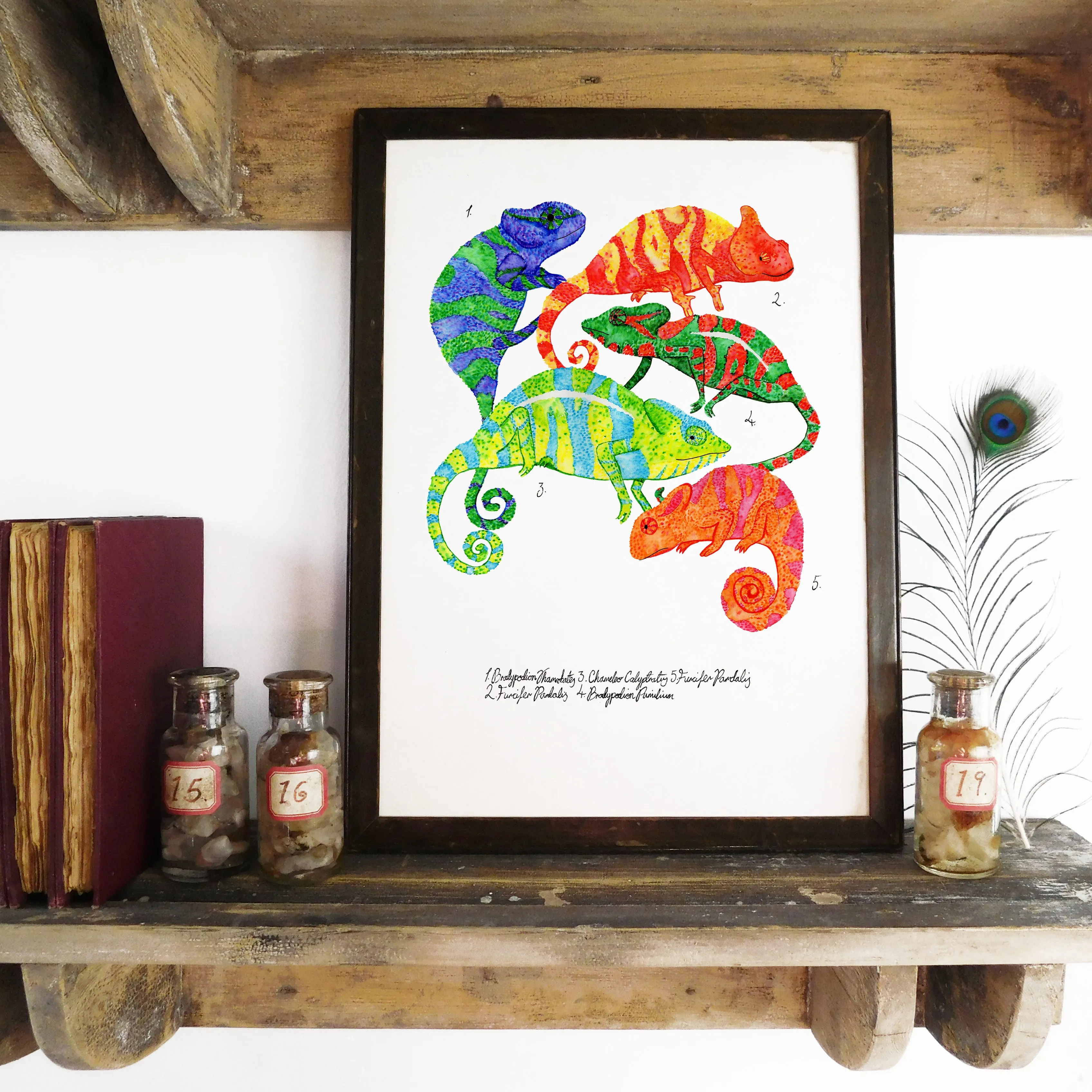 Camouflage of Chameleons Art Print