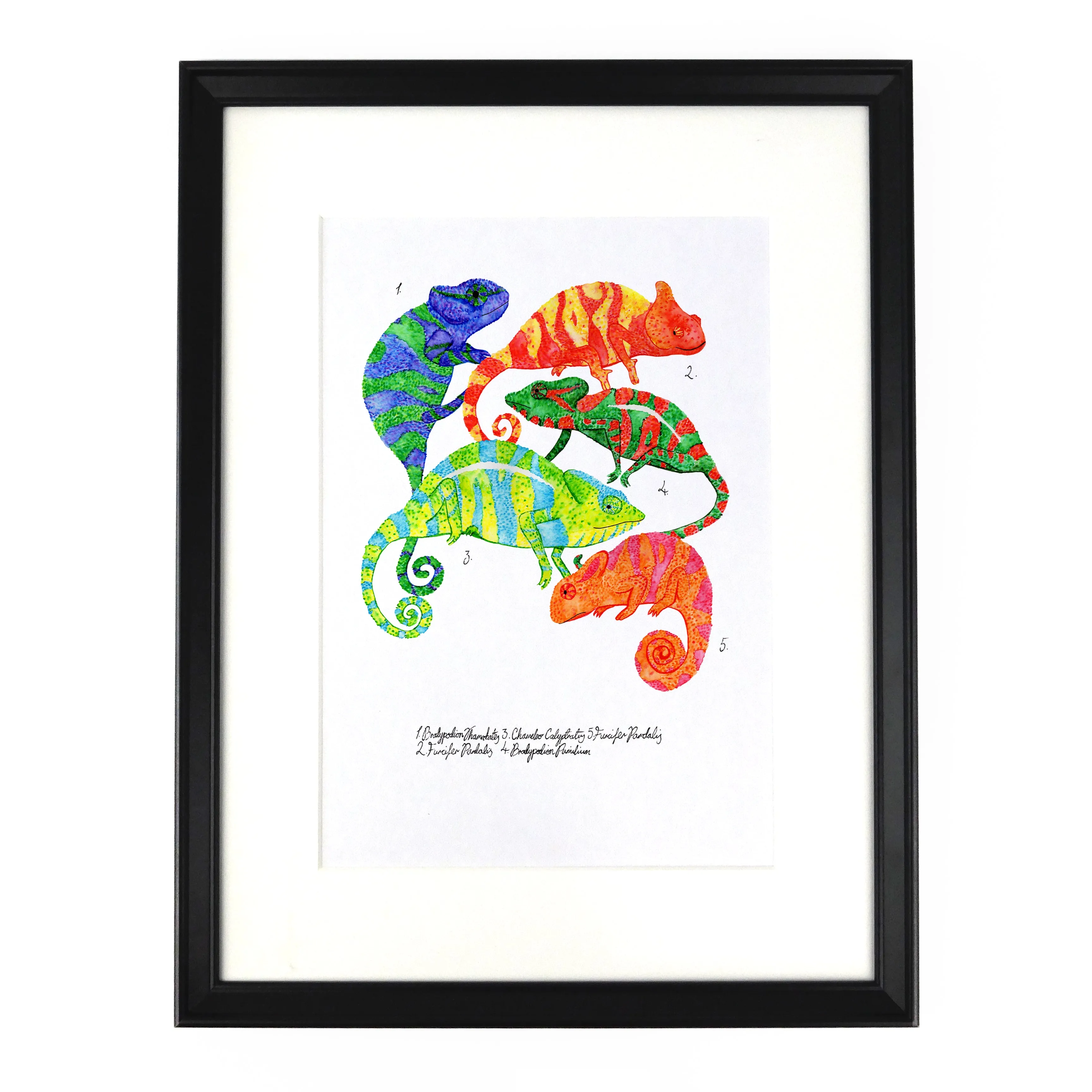 Camouflage of Chameleons Art Print