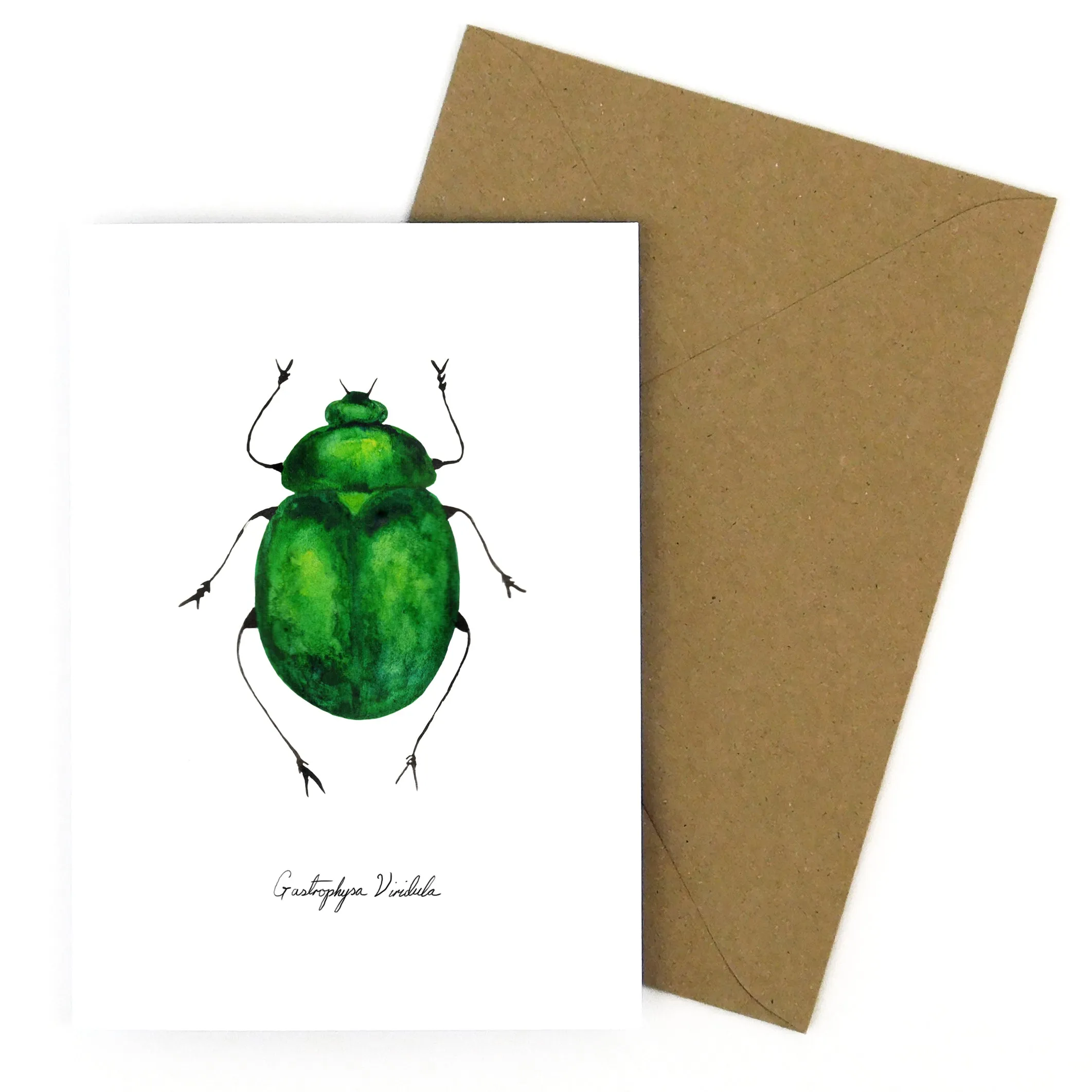 Coleoptera Green Beetle Greetings Card