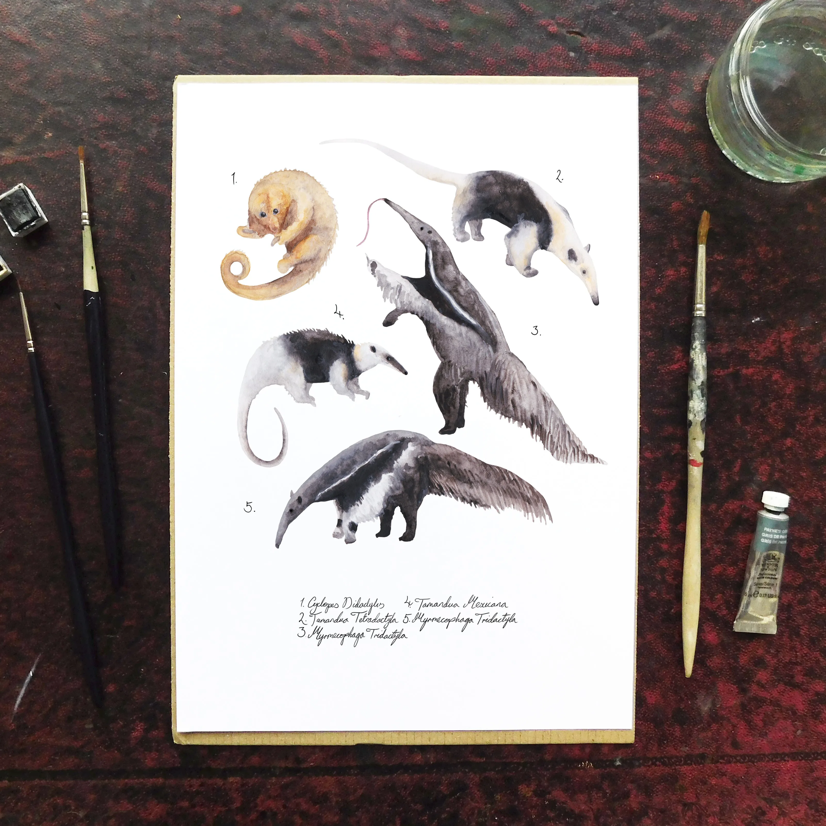 Colony of Anteaters Art Print