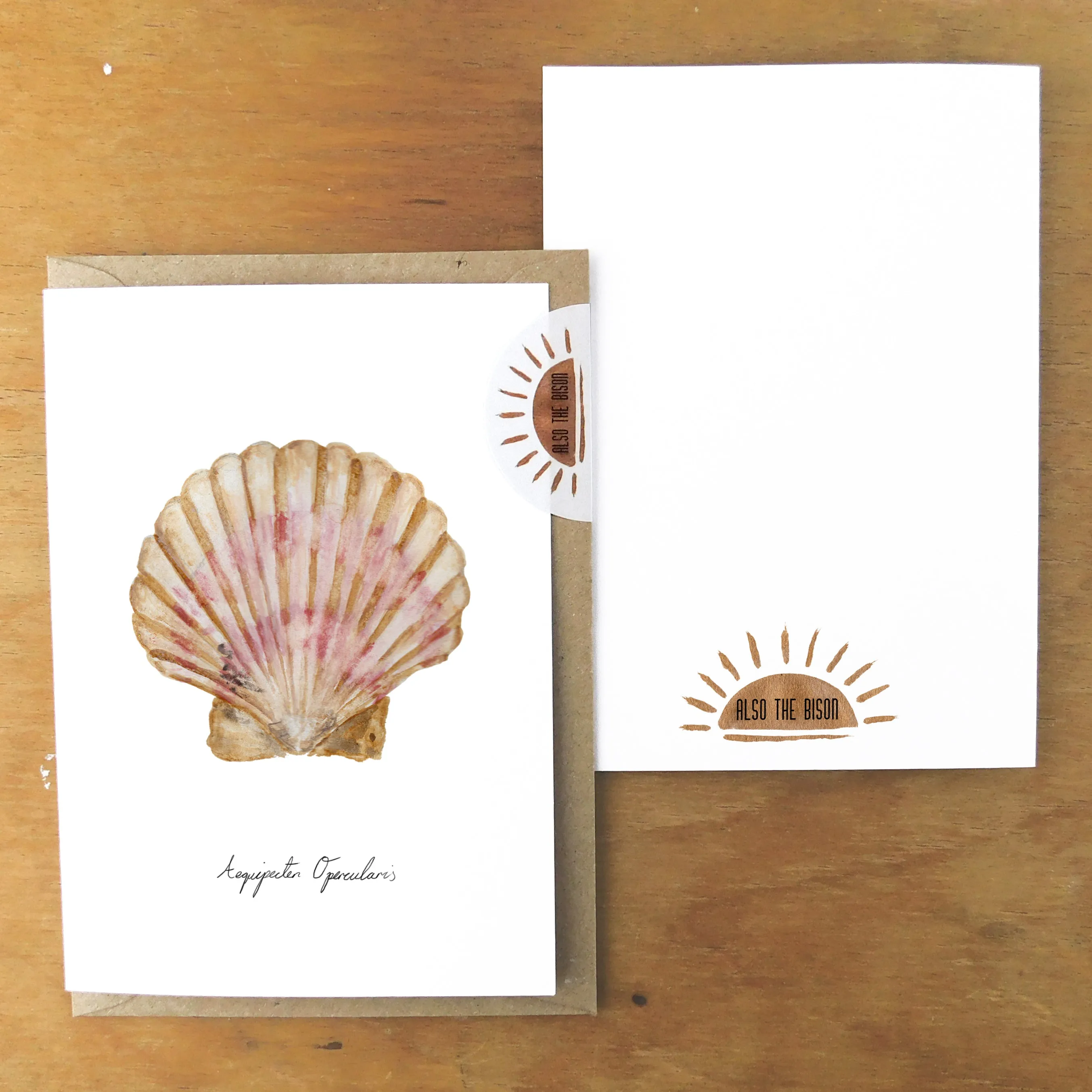 Conchae Scallop Shell Greetings Card