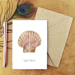 Conchae Scallop Shell Greetings Card