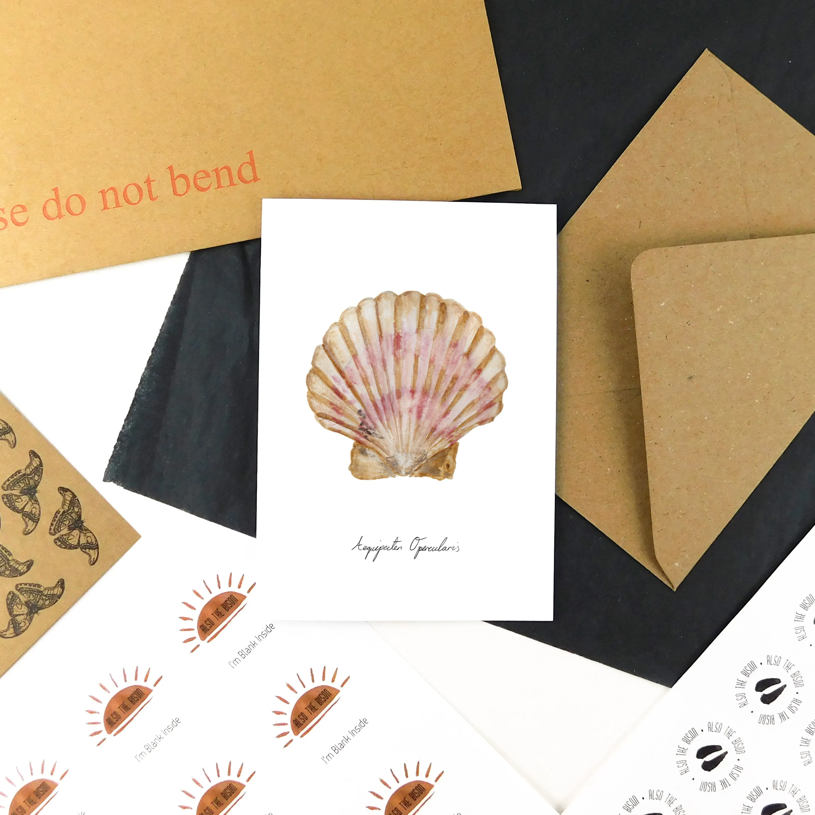 Conchae Scallop Shell Greetings Card