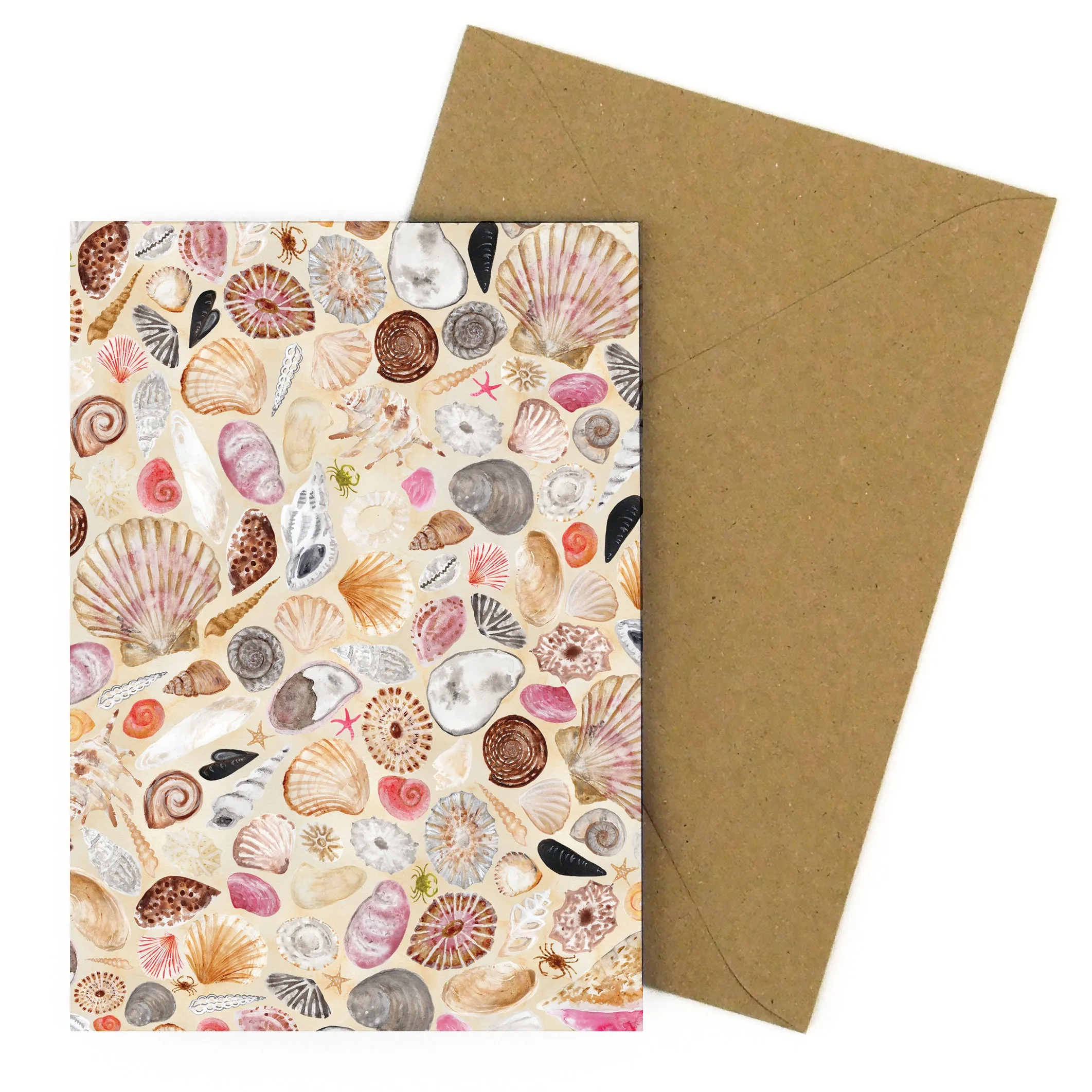 Conchae Sea Shell Greetings Card