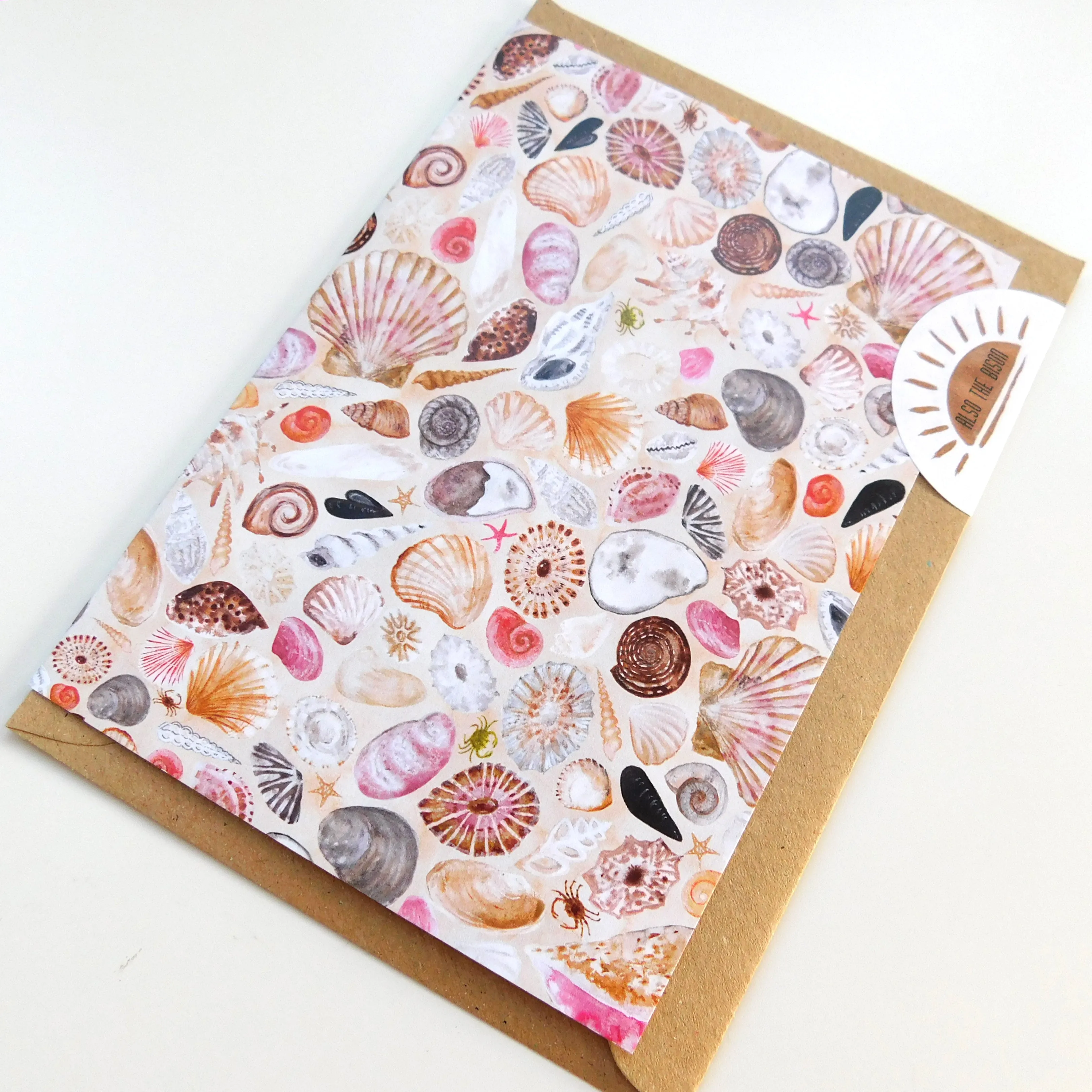 Conchae Sea Shell Greetings Card