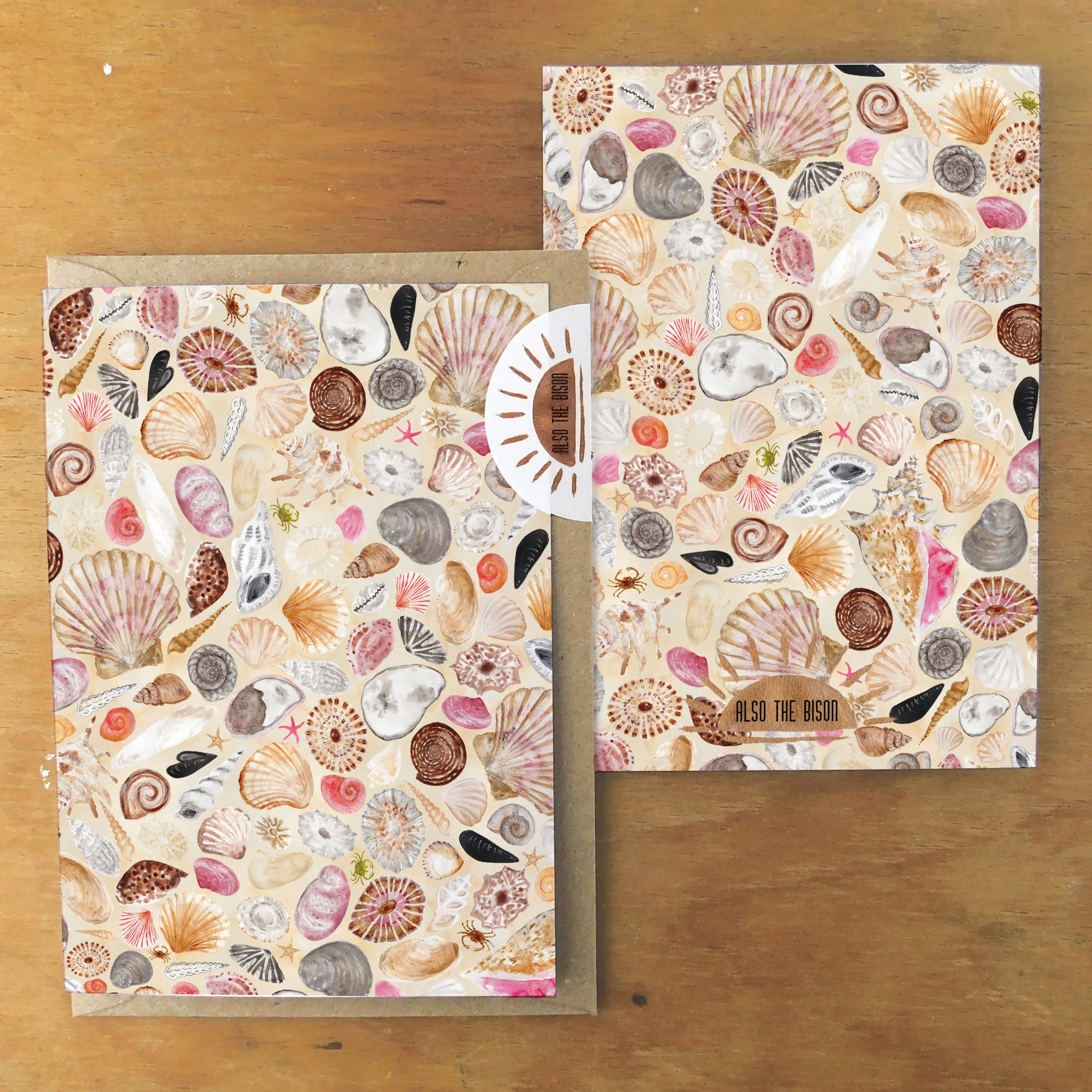 Conchae Sea Shell Greetings Card