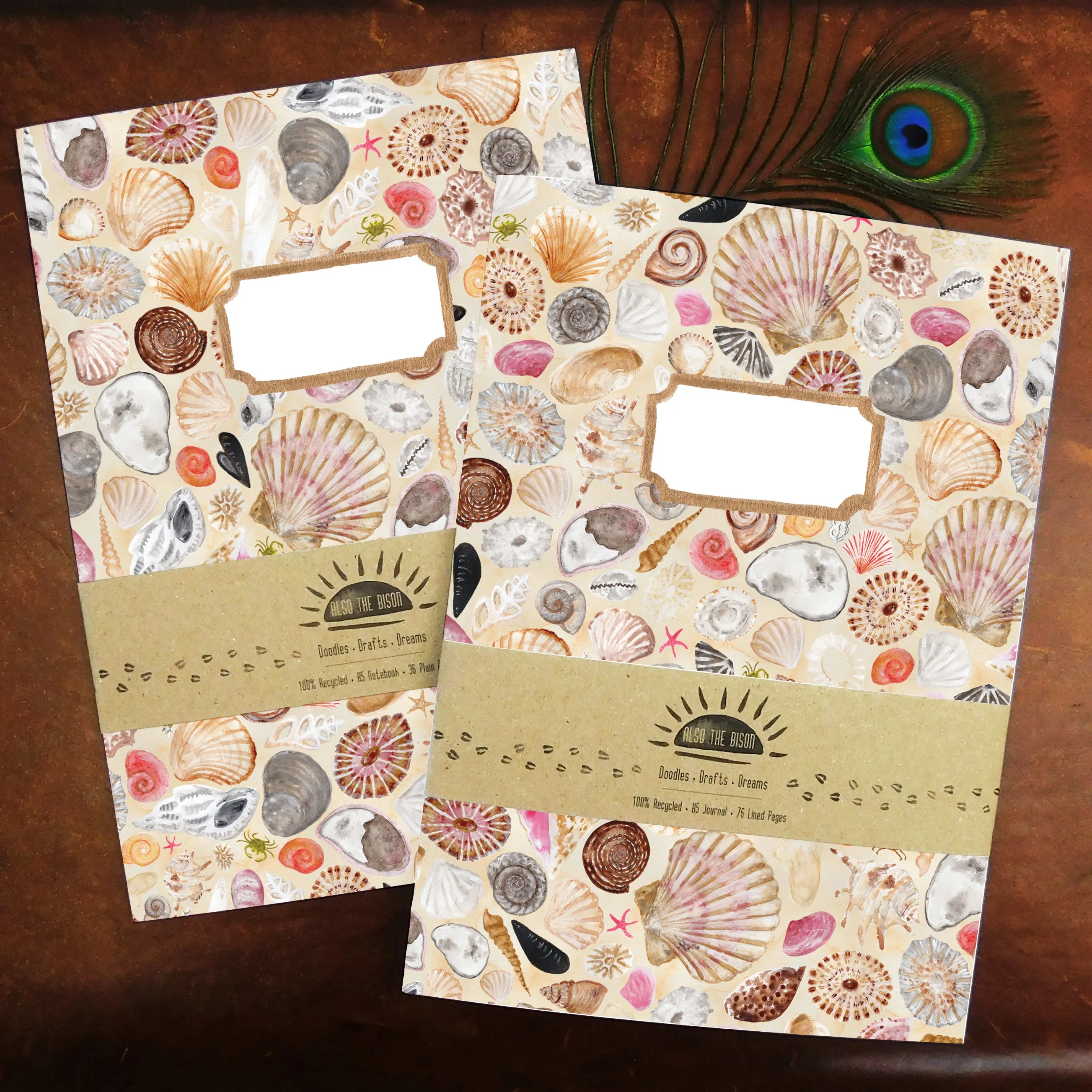 Conchae Sea Shell Print Journal and Notebook Set