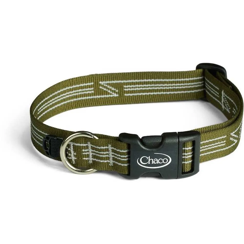 Dog Collar