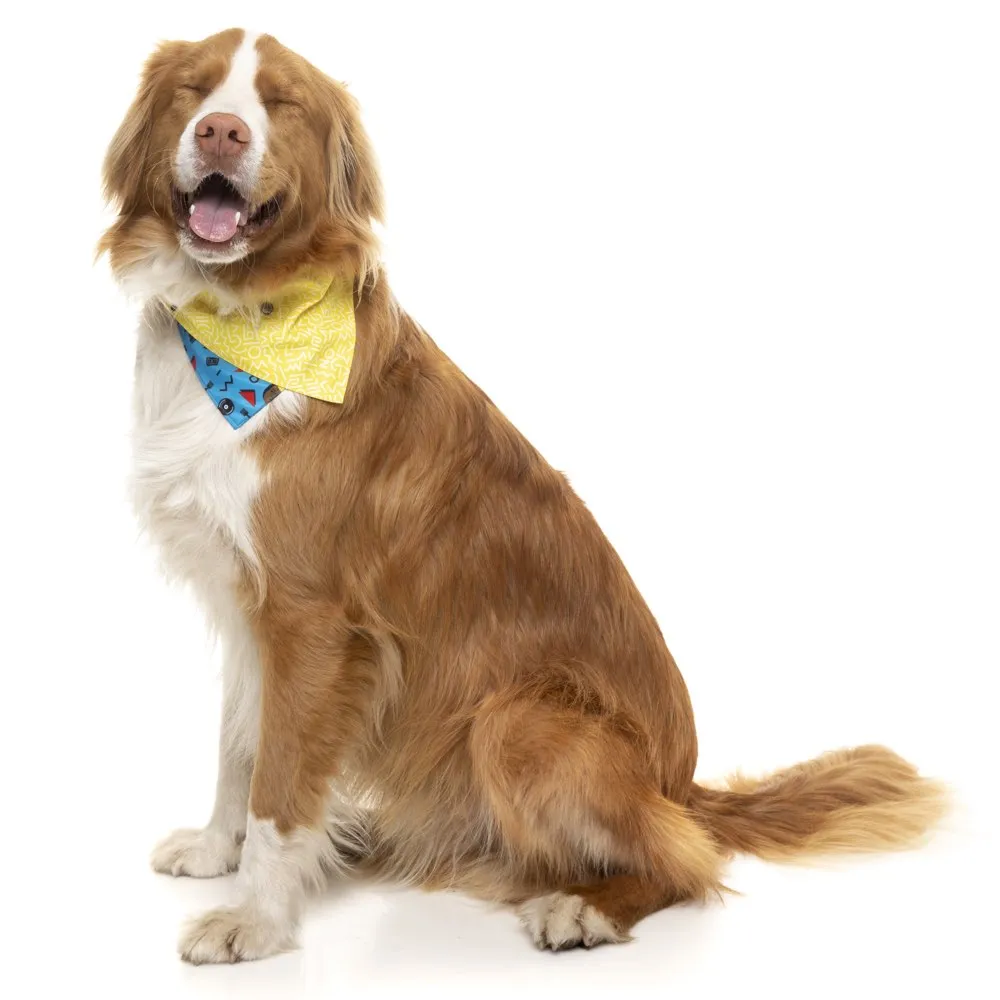 FuzzYard Pet Bandana (Kings of Gold School)