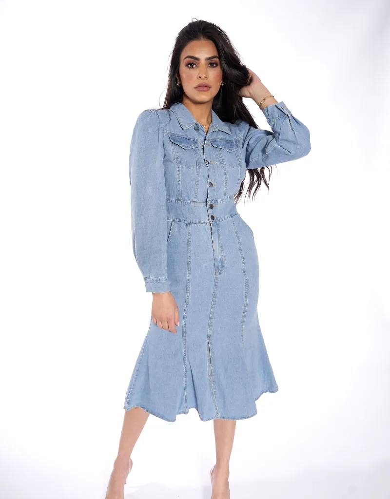 Mika Denim Dress