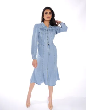 Mika Denim Dress