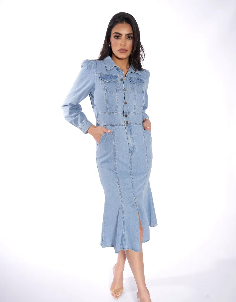 Mika Denim Dress