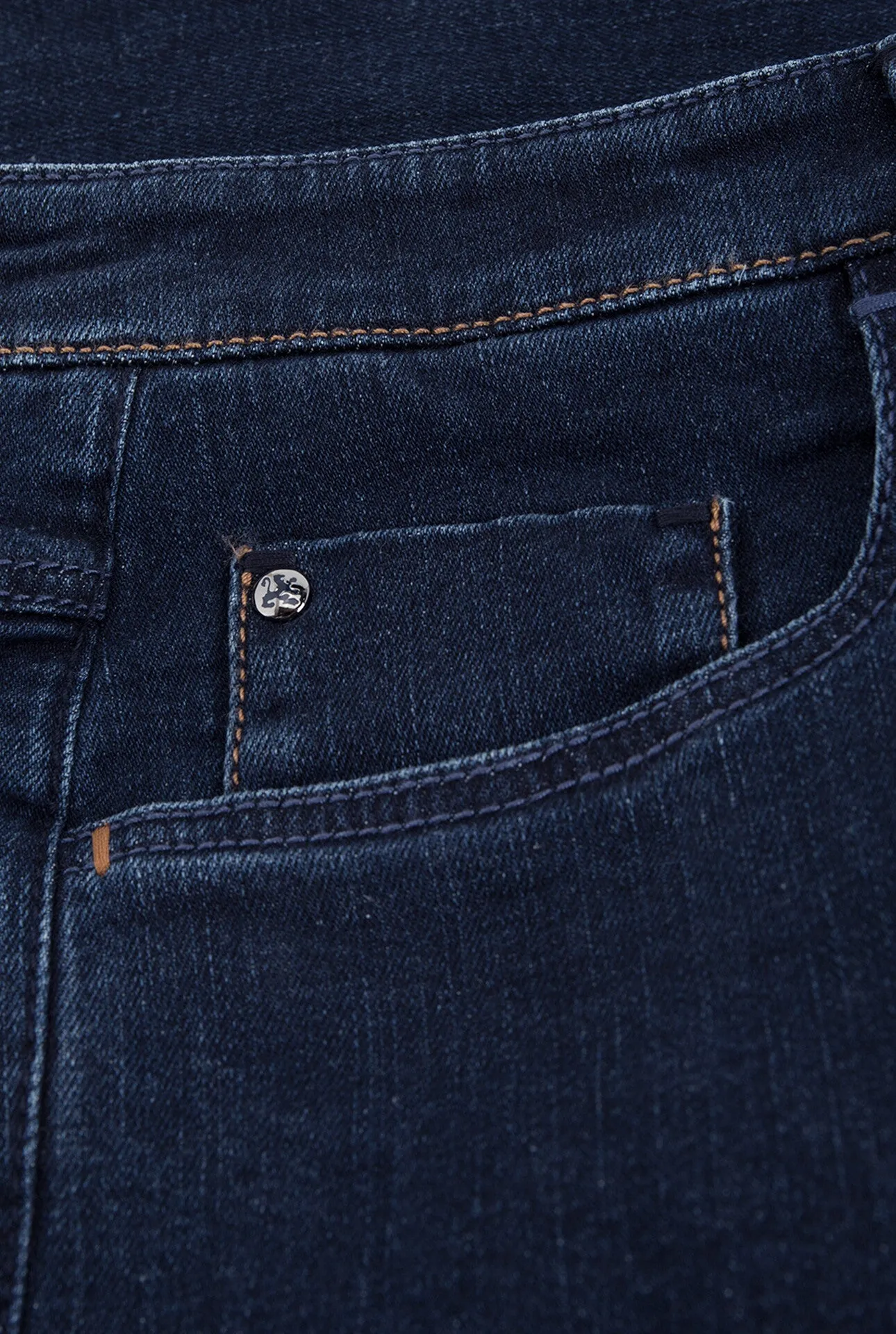 Slim Fit Jeans with Lion in the wind Embroidery